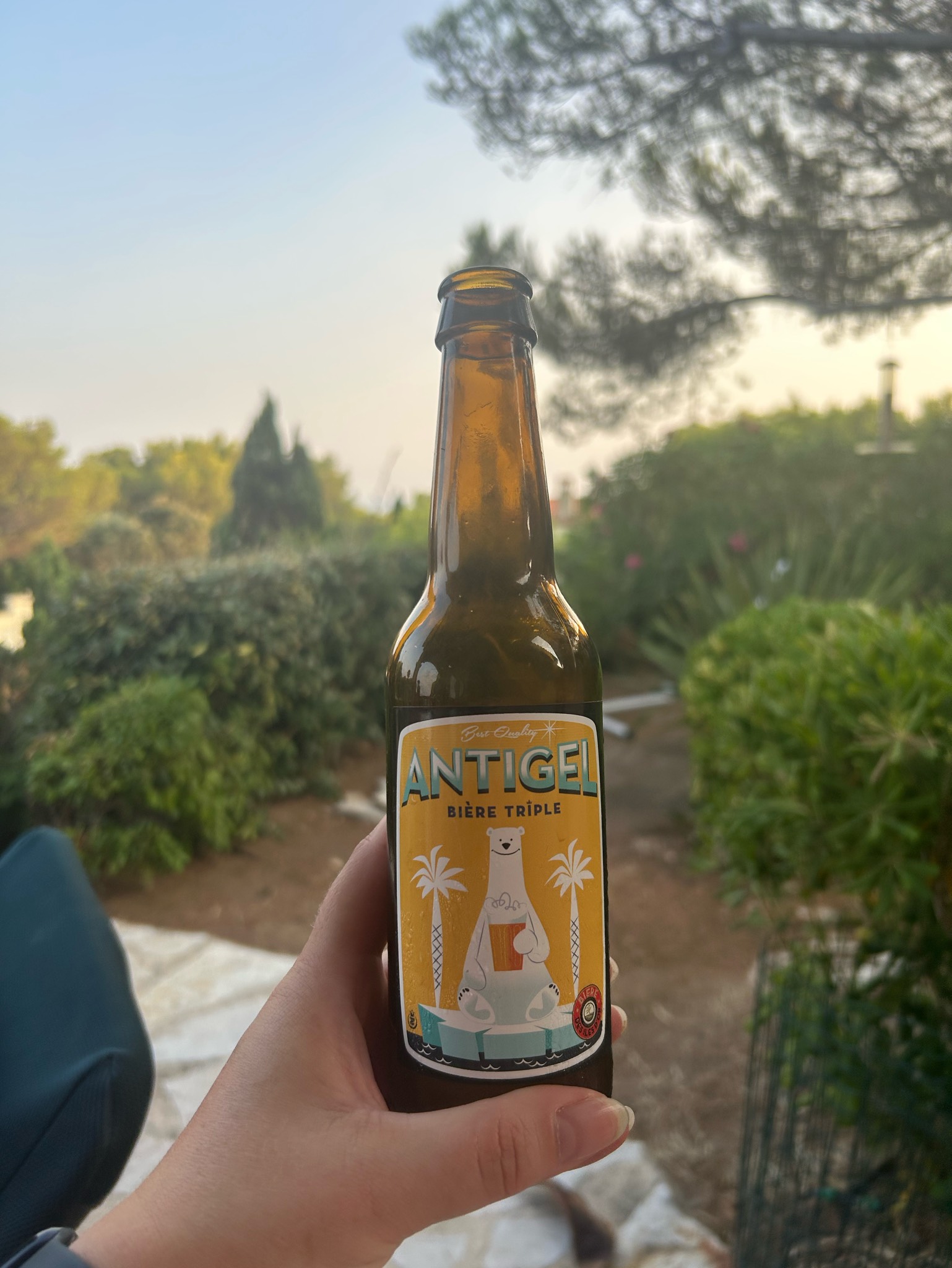 Antigel Triple, France