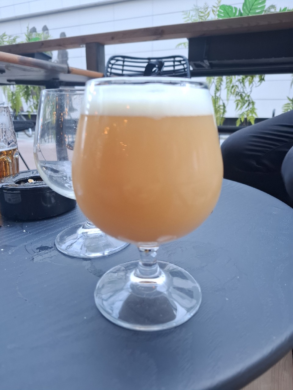 Dock 116, Le Ketch