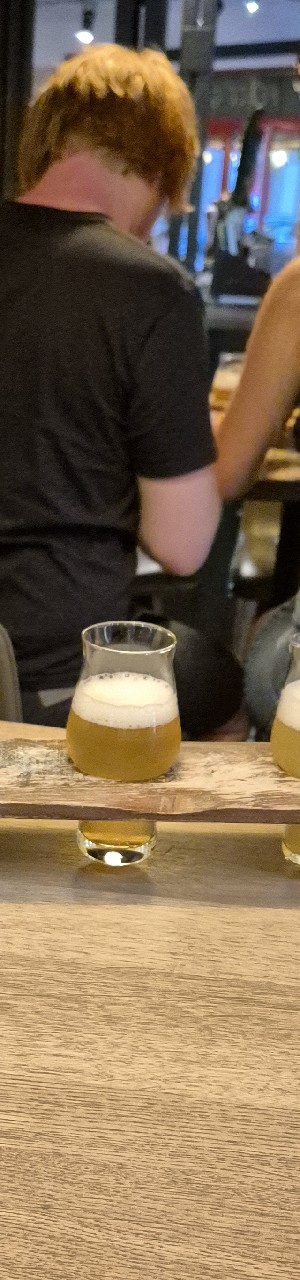 Guadalupe, Orca Brau