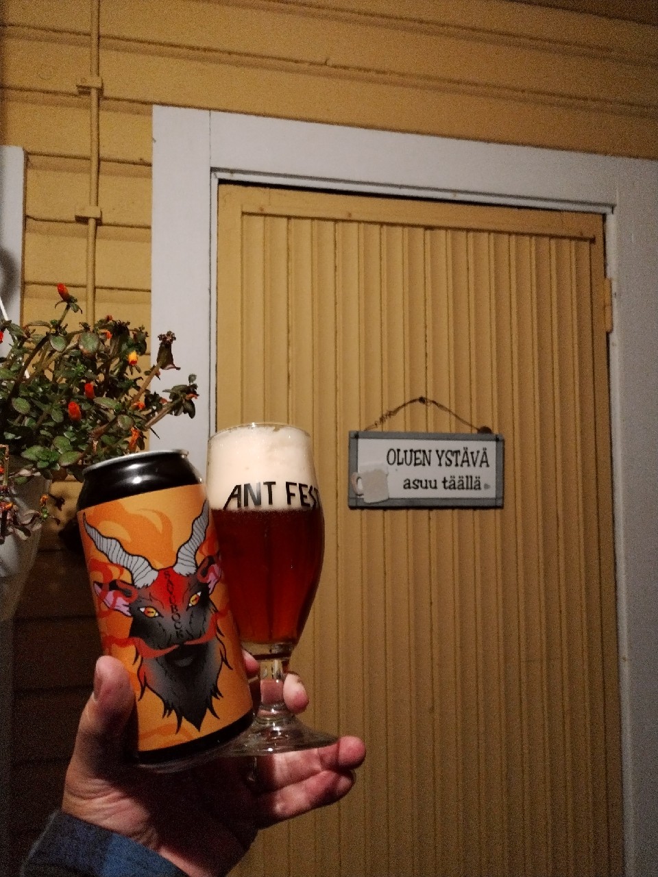 Älä Silitä Palavaa Pukkia, Finland