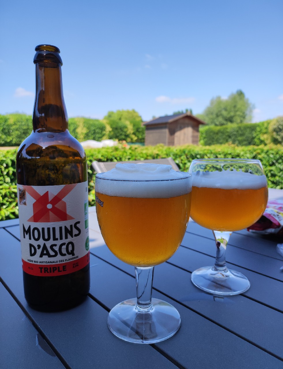 Moulins D'Ascq Triple, France