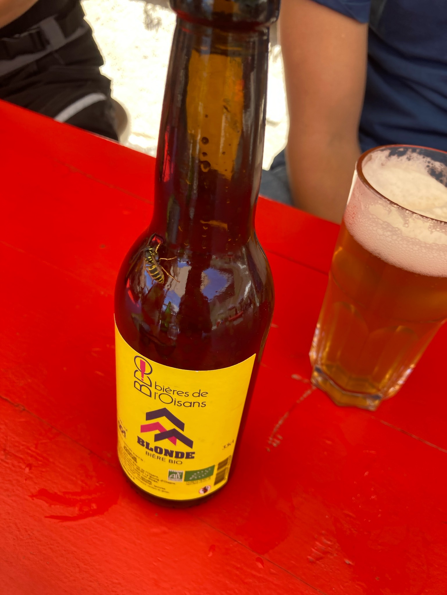 Bières De L'Oisans Blonde, France