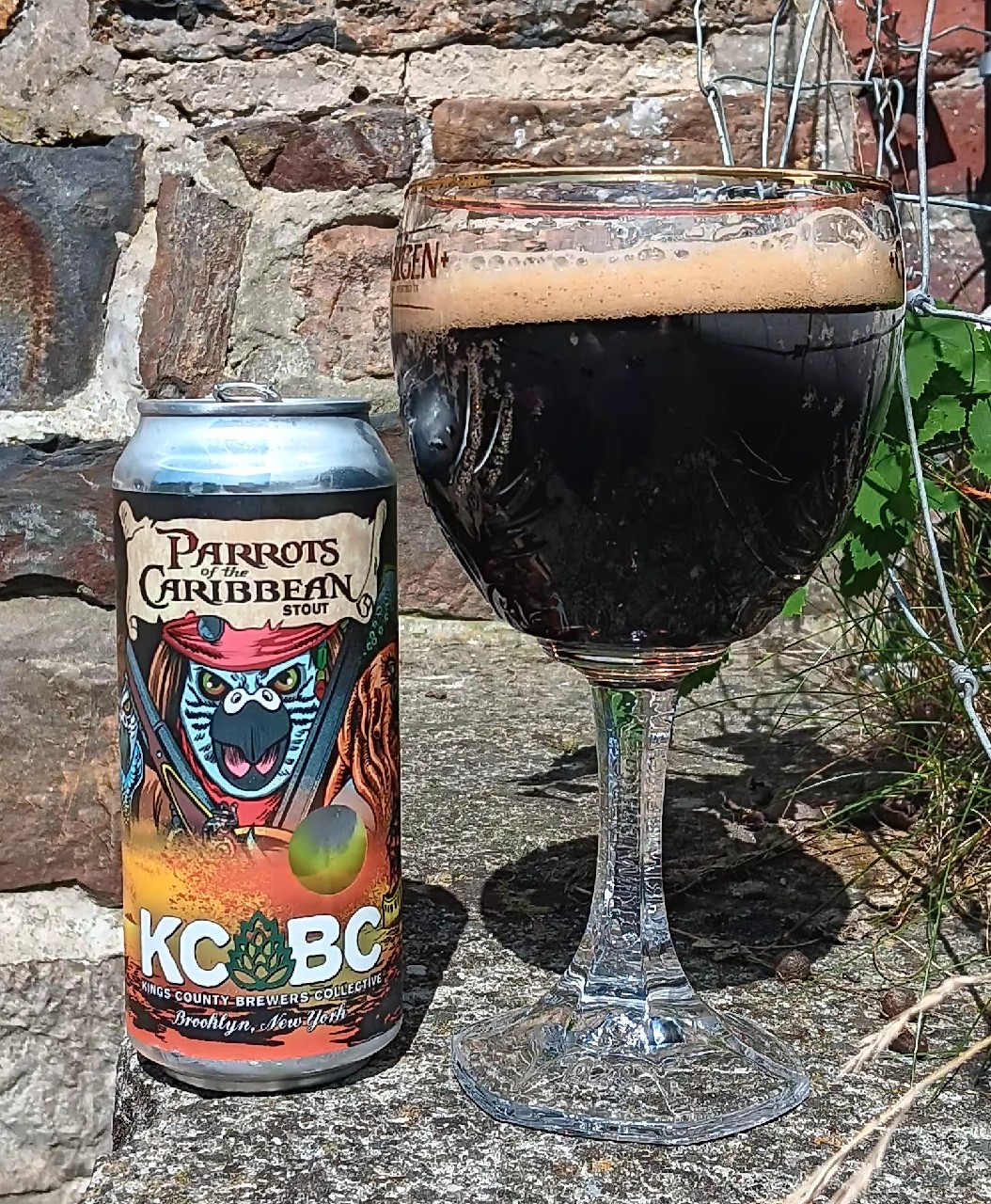 parrots of the caribbean, United States