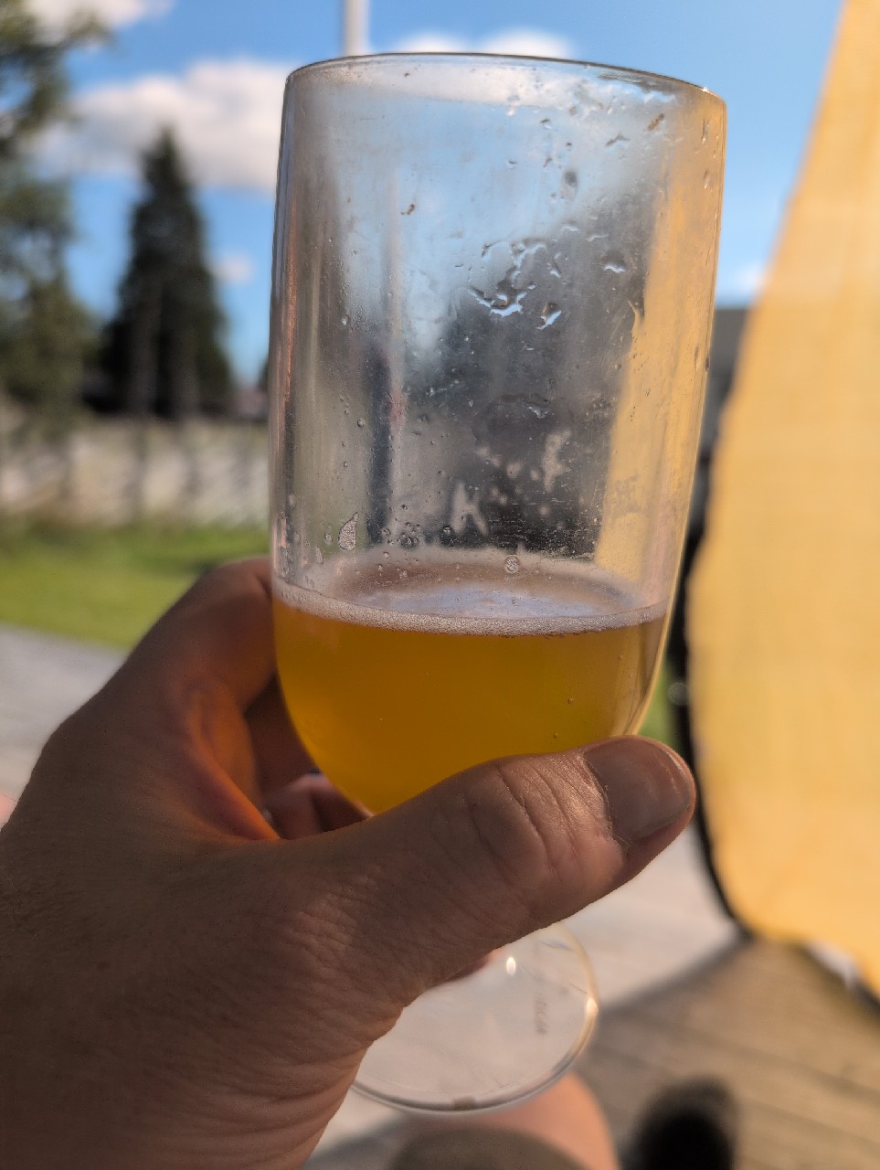 Cyber Sue, Toppling Goliath Brewing Co.