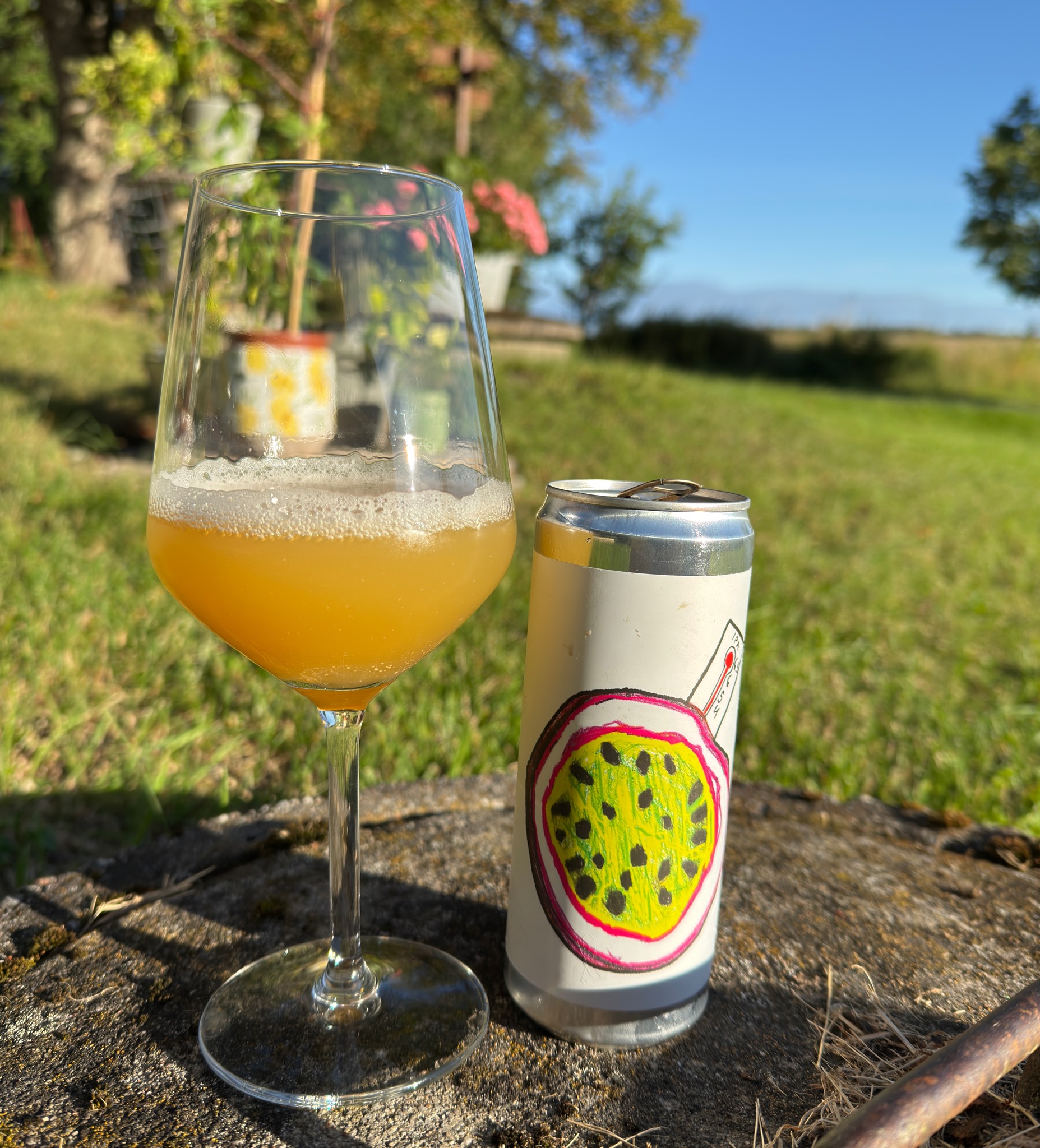 Passionfeber IPA, Sweden