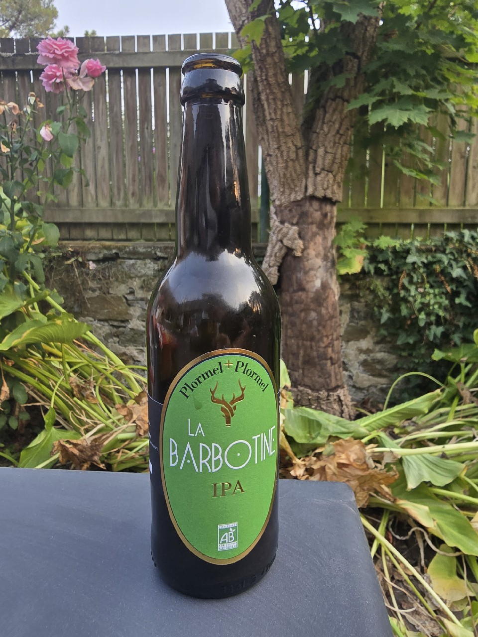La Barbotine IPA, France