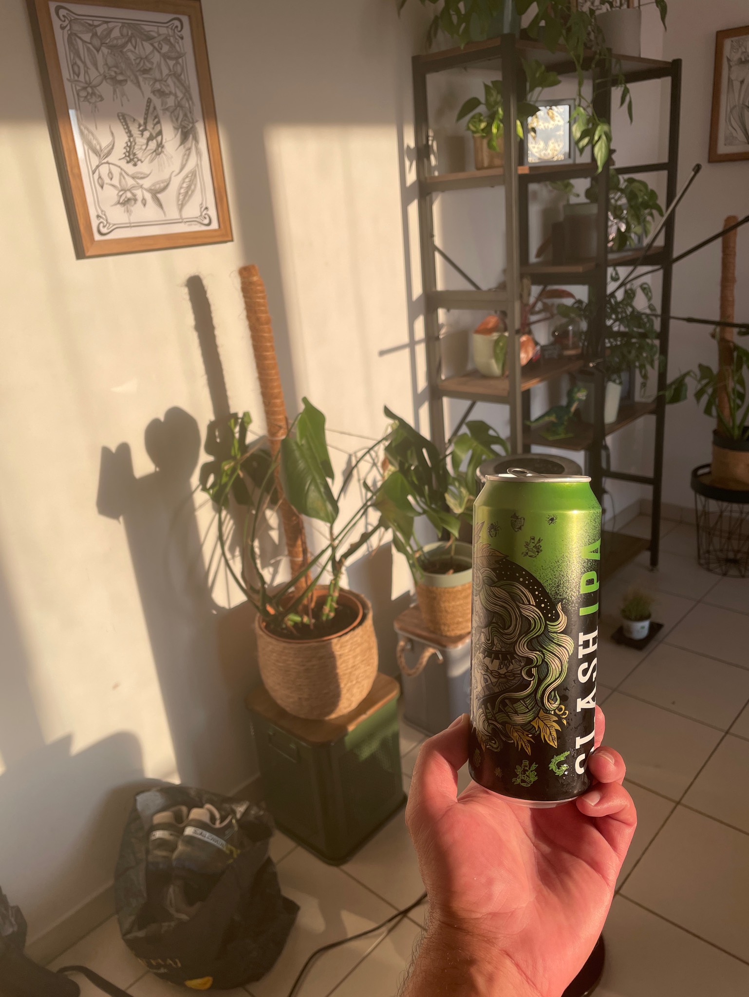 Slash IPA, France