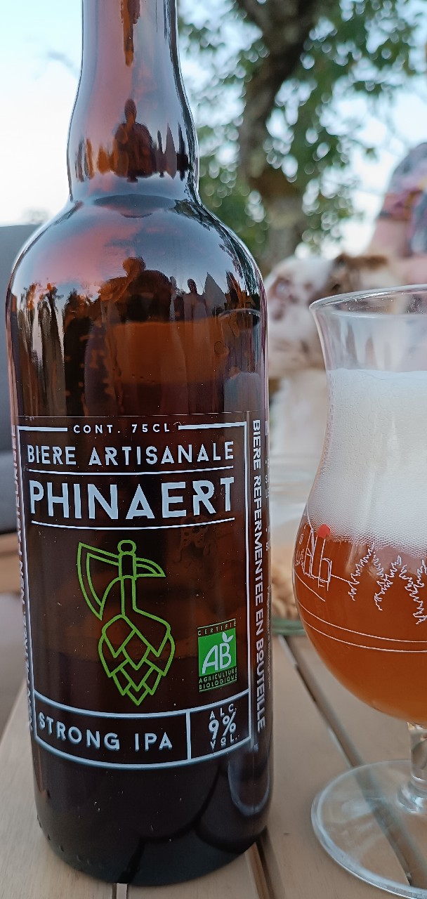 Phinaert Strong IPA, France