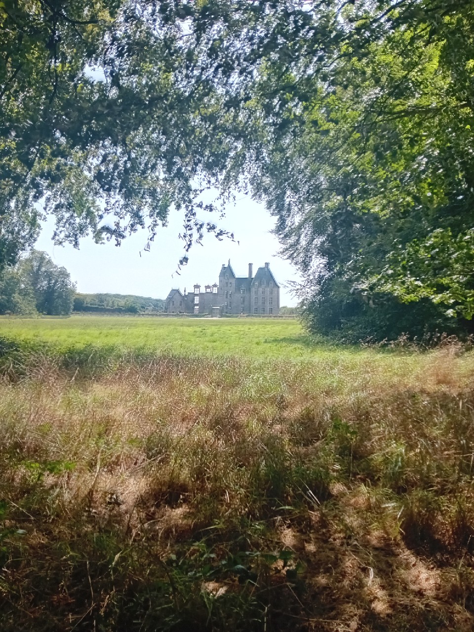Mutine Ambrée, France