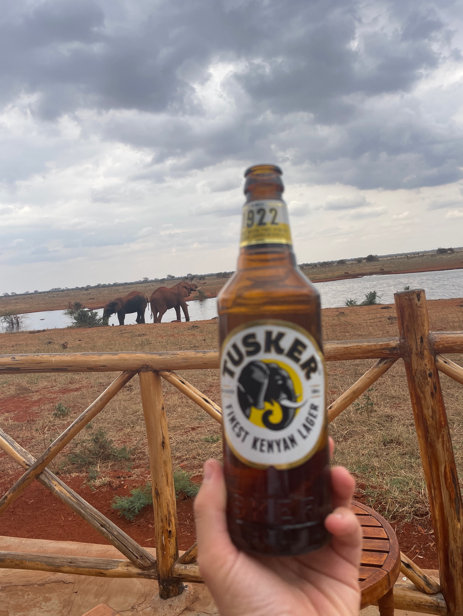 Tusker / Tusker Lager, Kenya