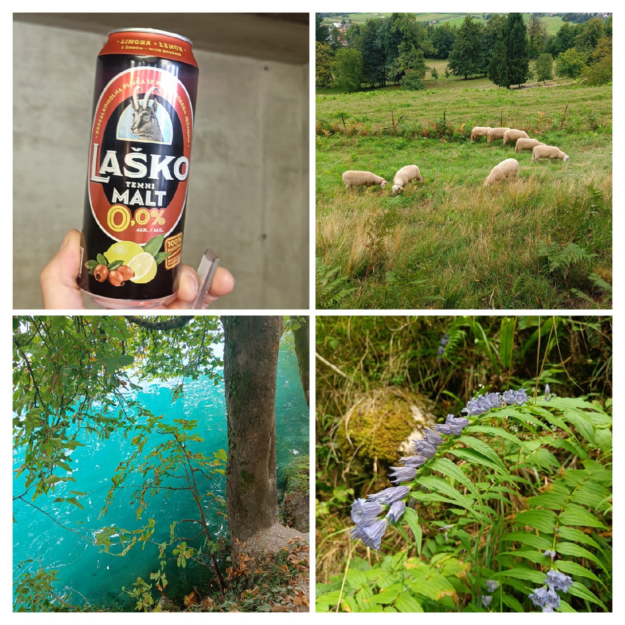 Laško Temni Malt, Slovenia