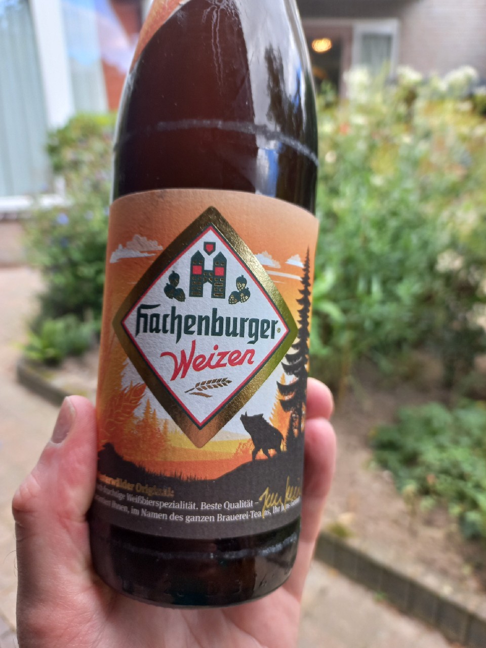 Hachenburger Weizen, Hachenburger