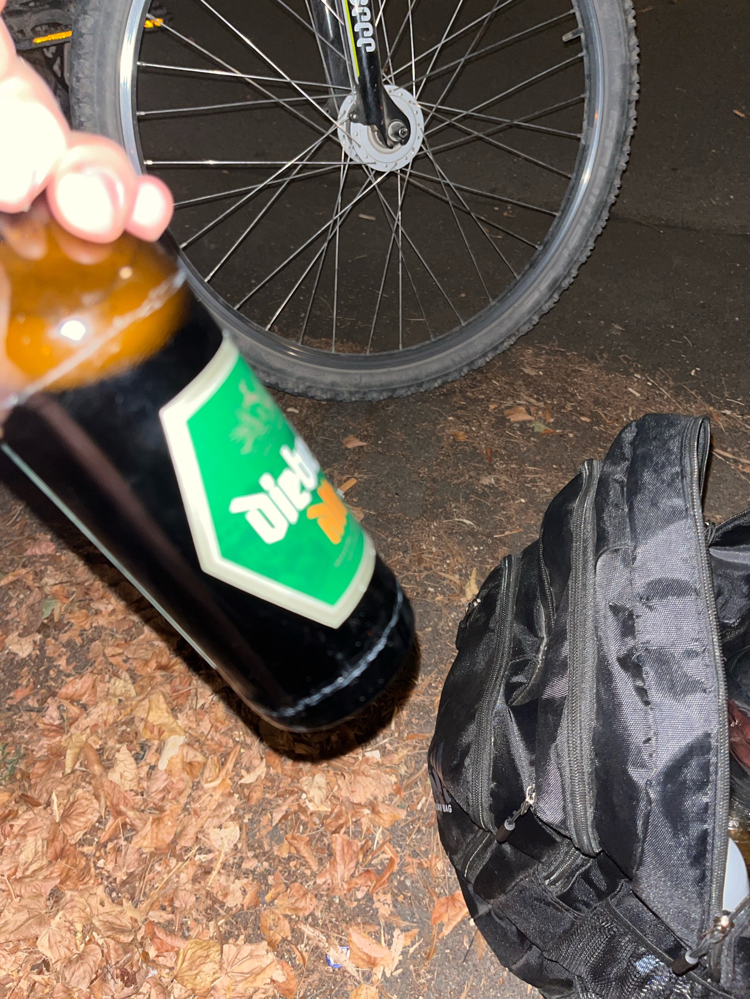 Diebels Alt, Brauerei Diebels (AB-Inbev)