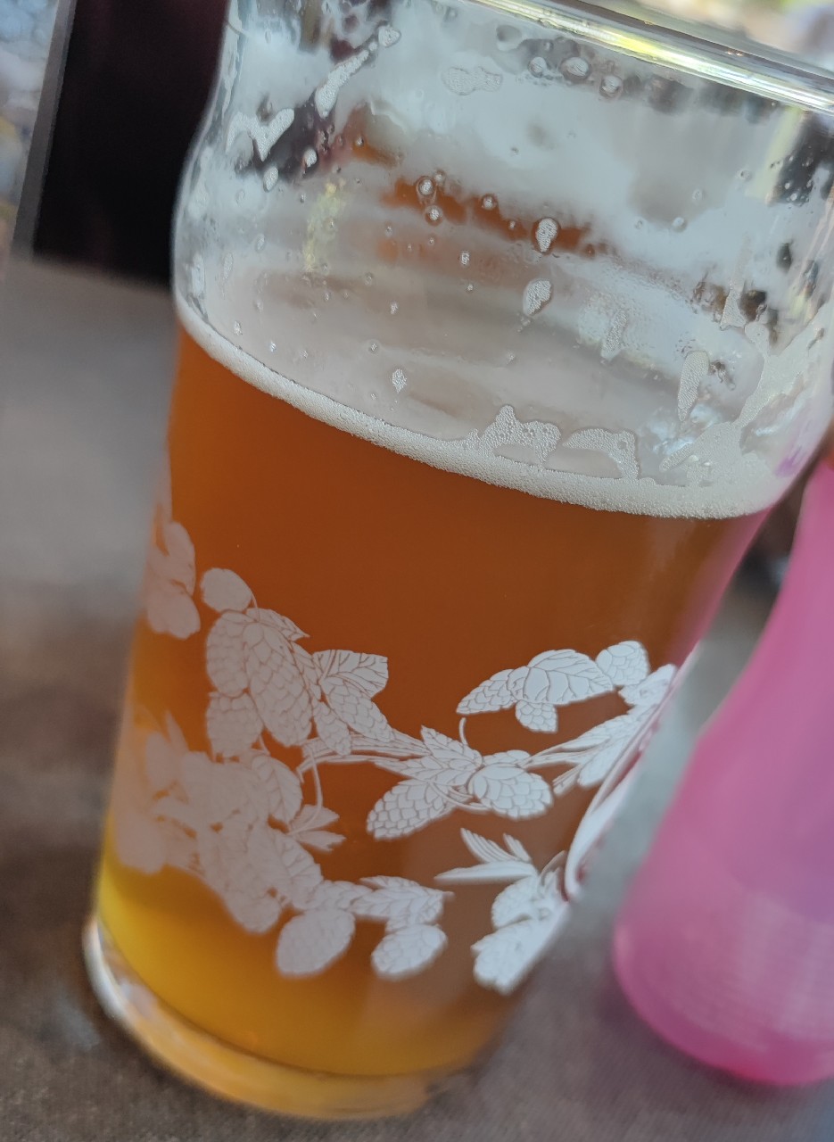 Goose Island IPA, United States