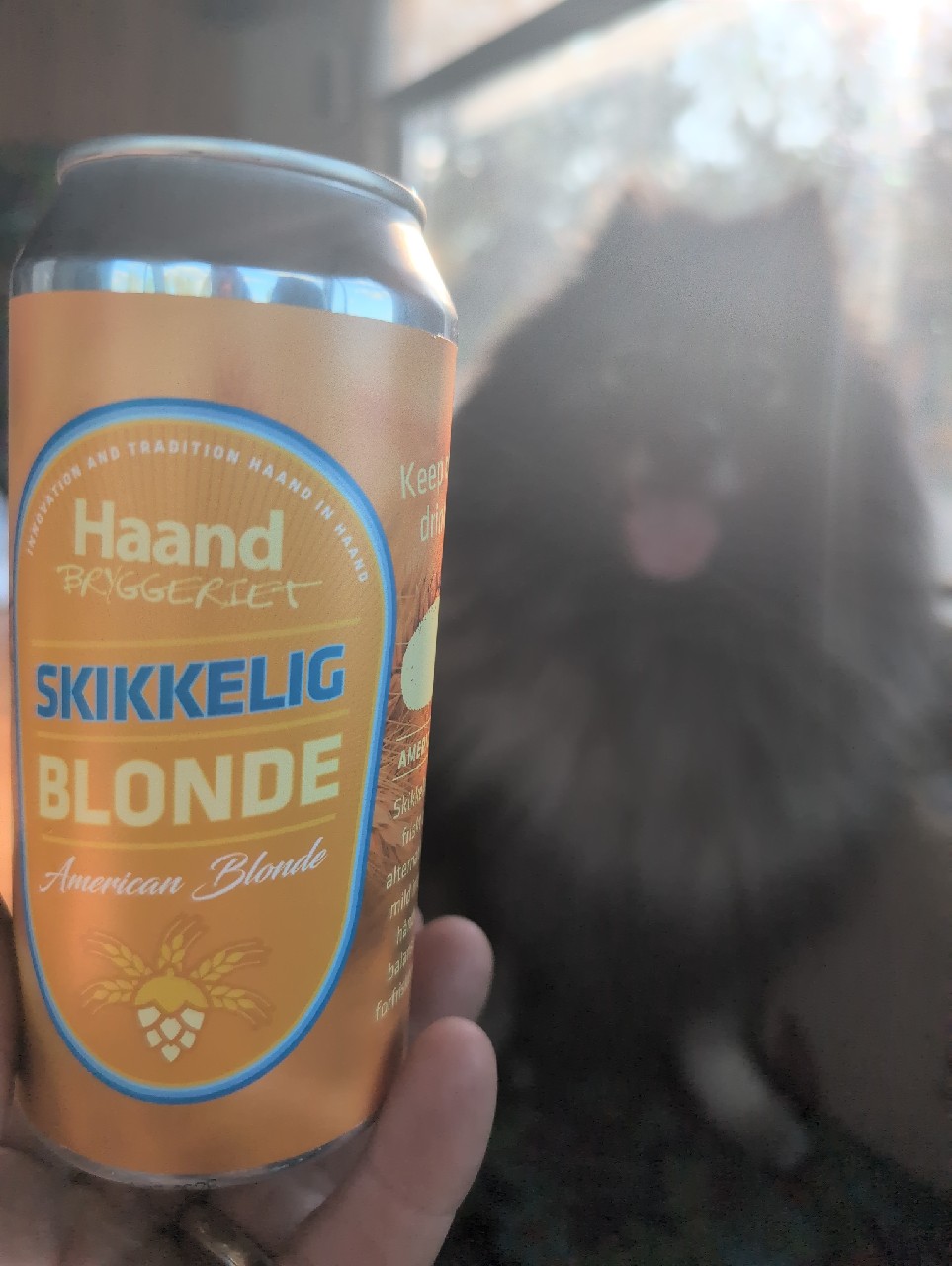 Skikkelig Blonde, Norway