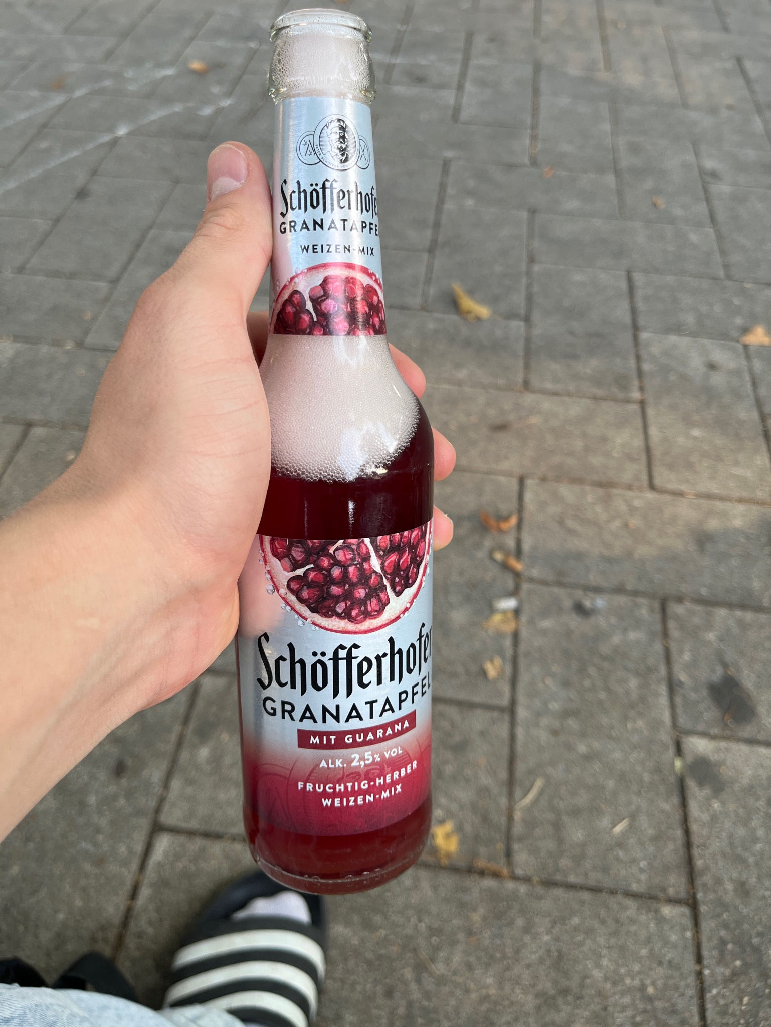 Schöfferhofer Kaktusfeige, Germany