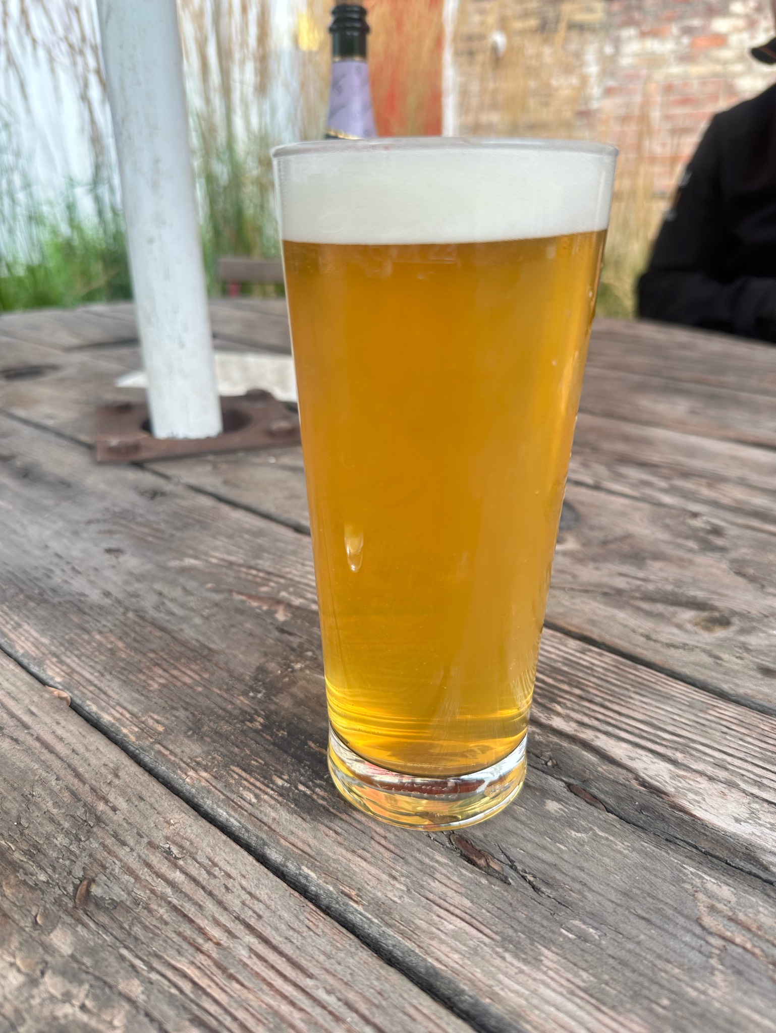 Magic Bus IPA, Gallaghers Where U Brew