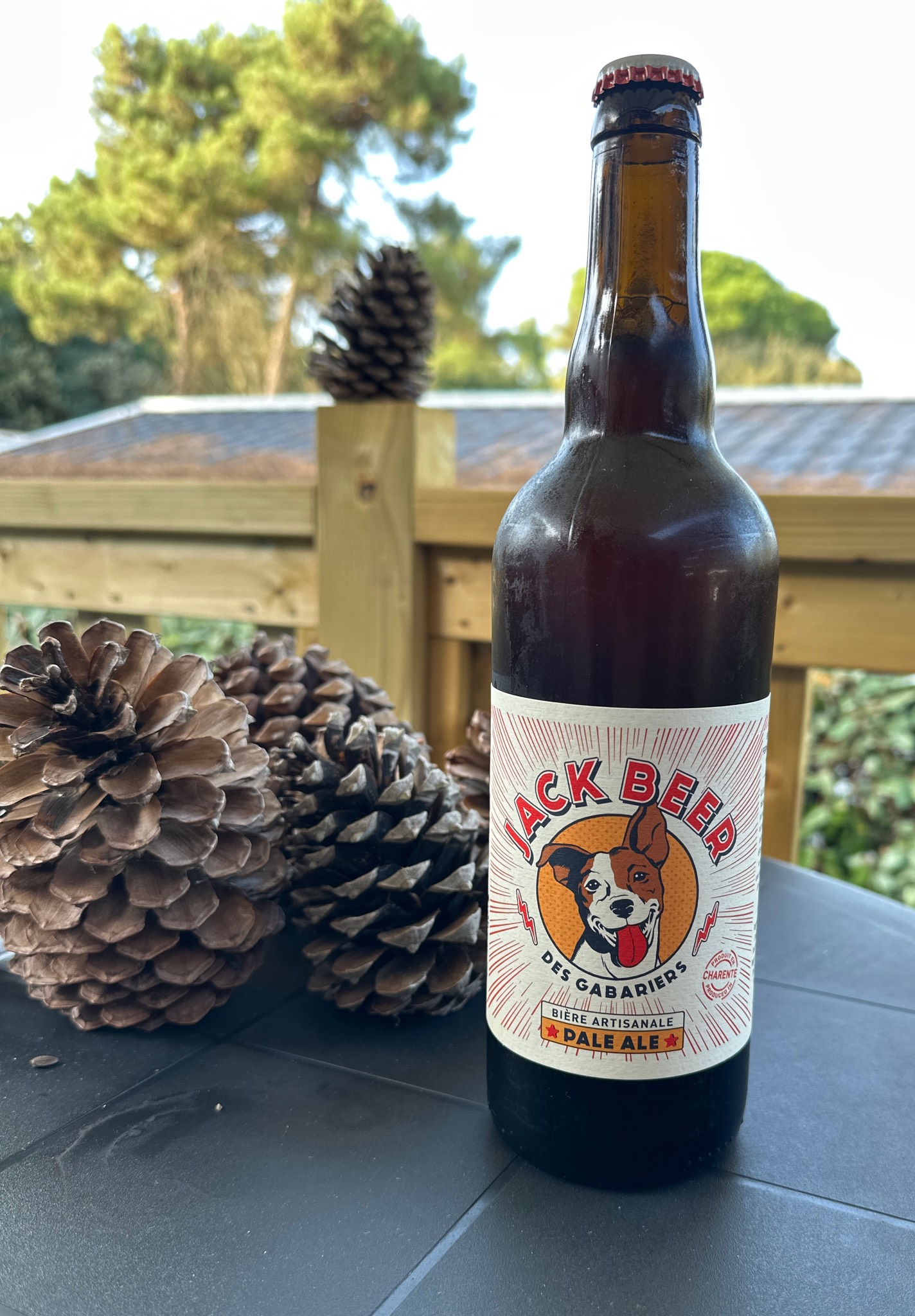 Jack Beer Pale Ale, France