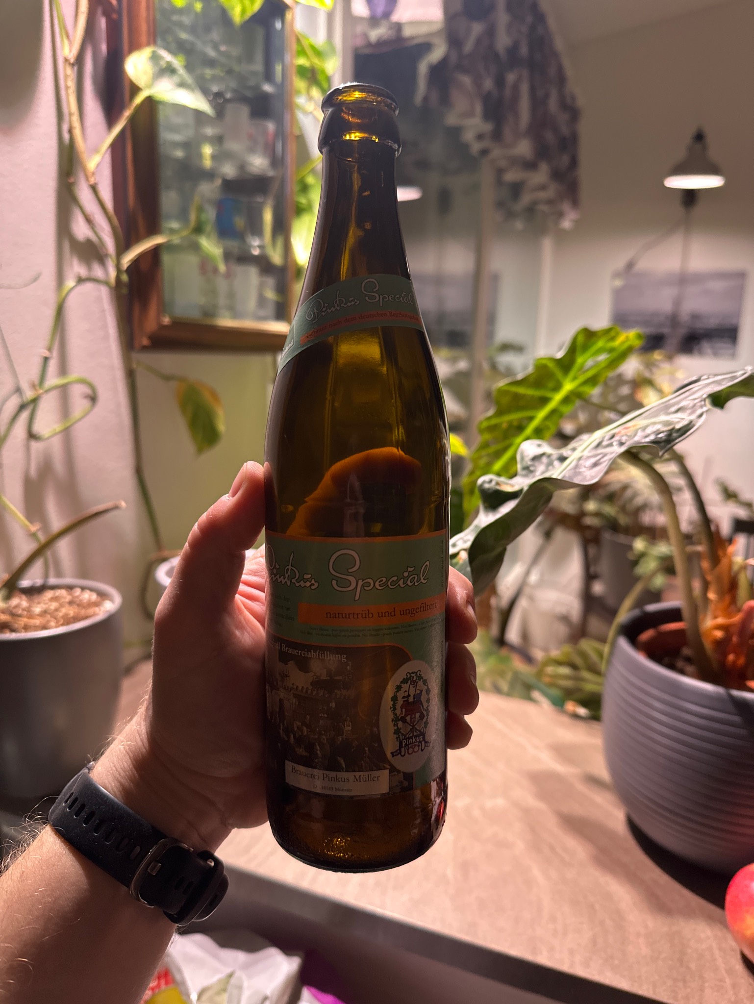 Pinkus Special, Germany