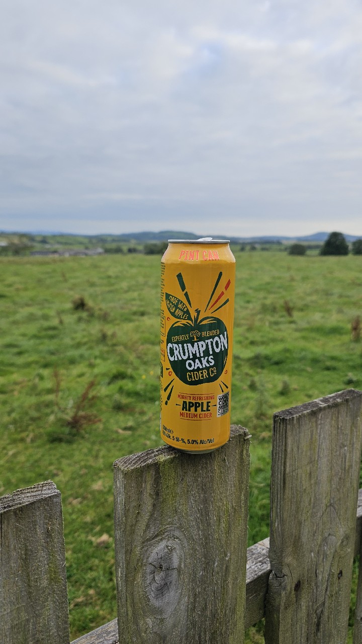 Apple Medium Cider, England