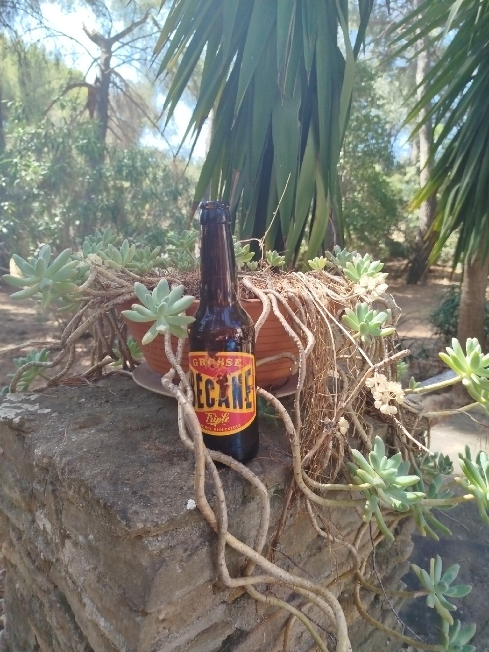 Grosse Bécane, France