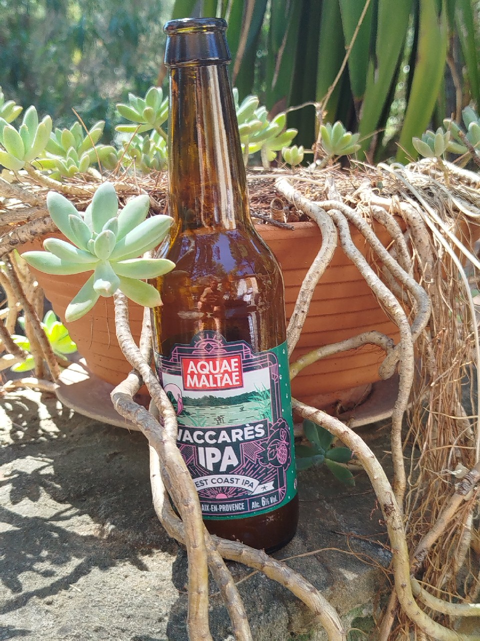 Vaccarès IPA, Aquae Maltae