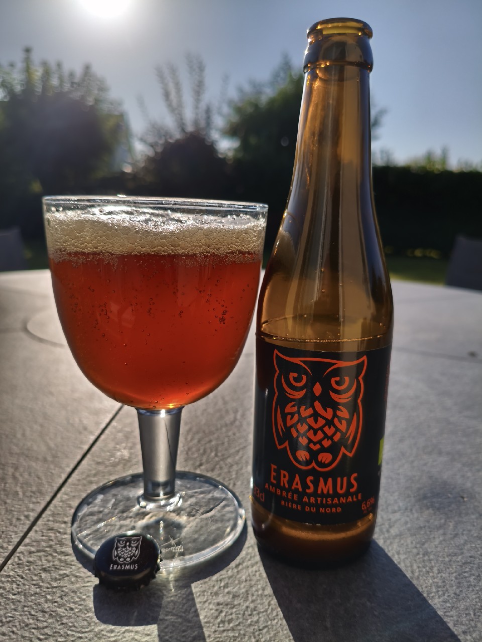 Erasmus Ambrée, France