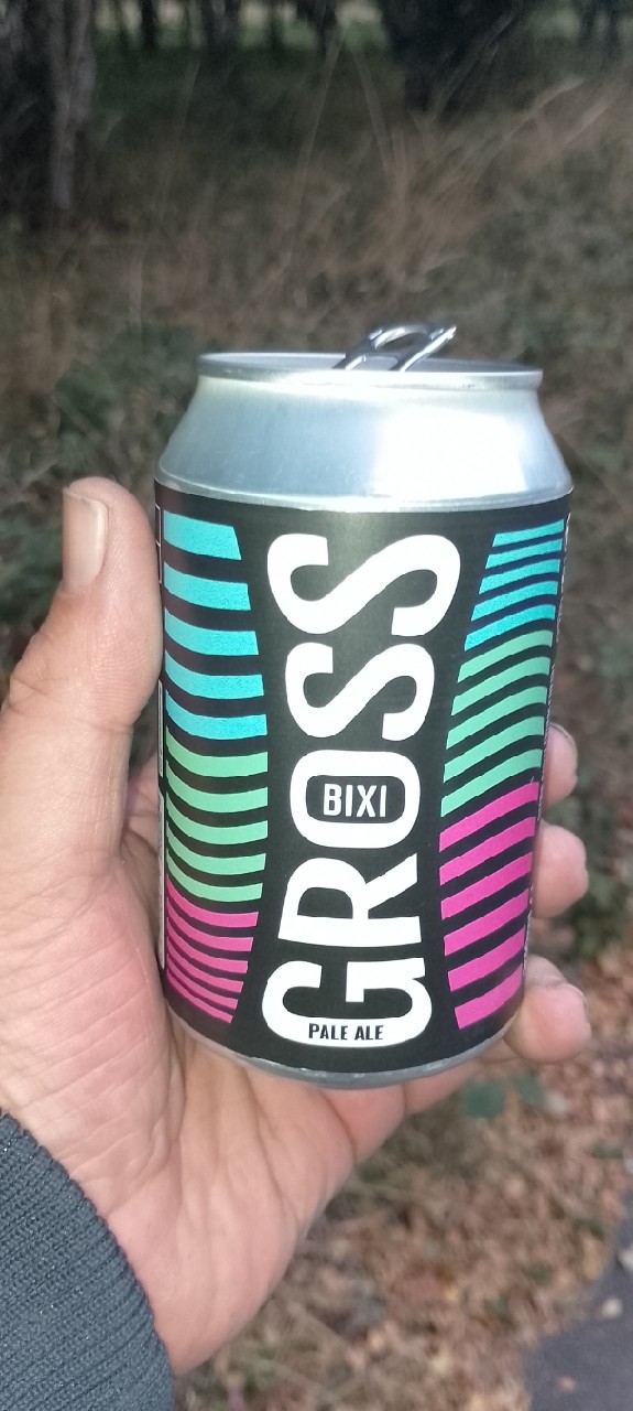 Bixi, Gross