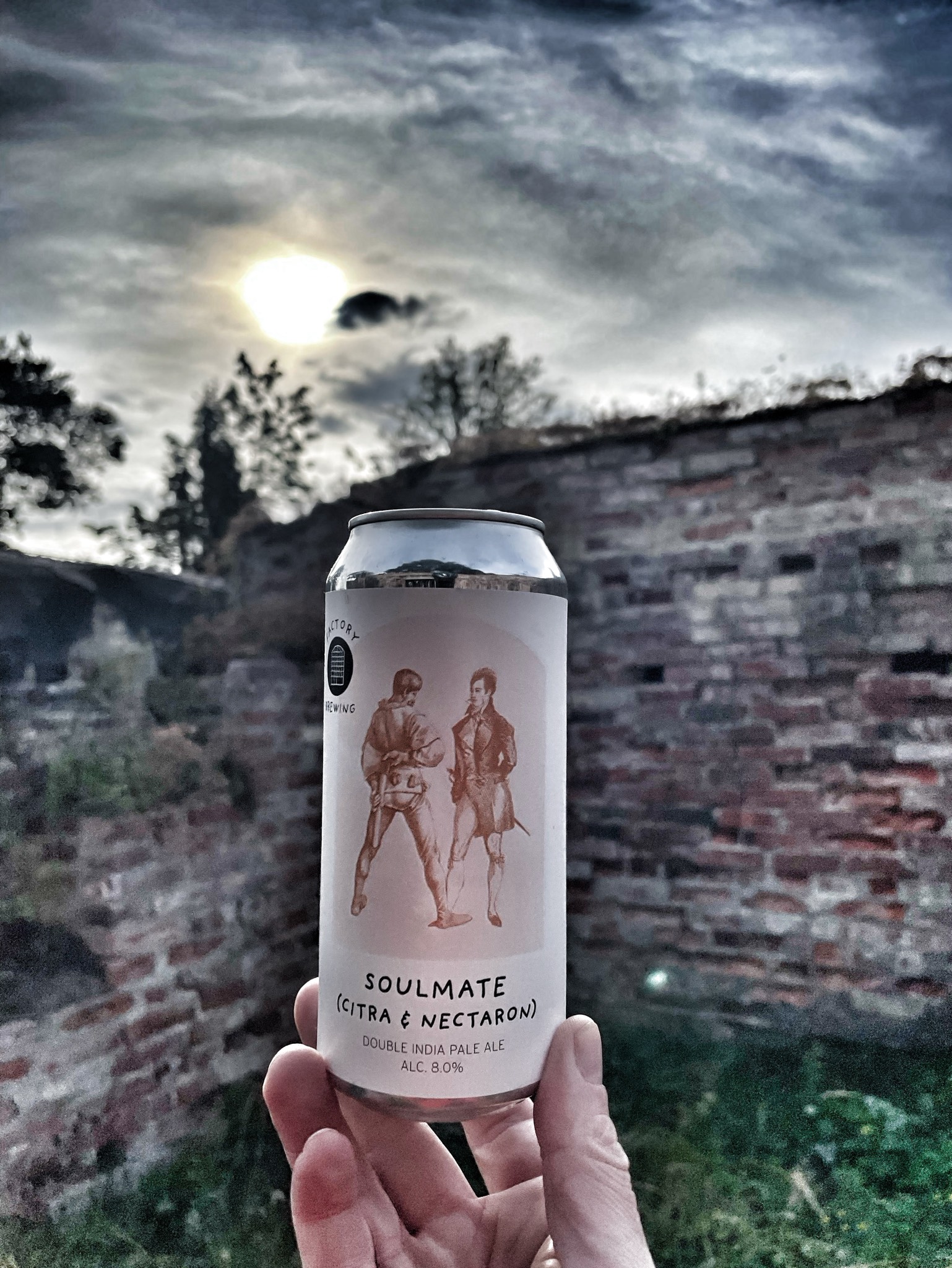 Soulmate (Citra & Nectaron), Finland