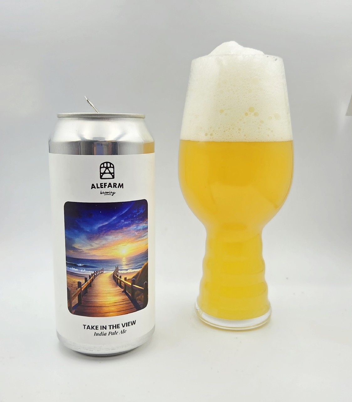 Take in the view, Denmark