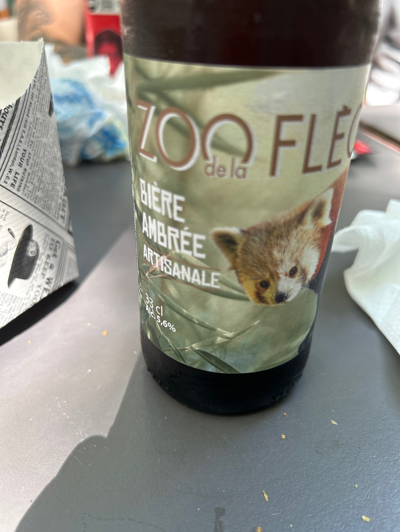 Zoo De La Flèche Ambrée, France