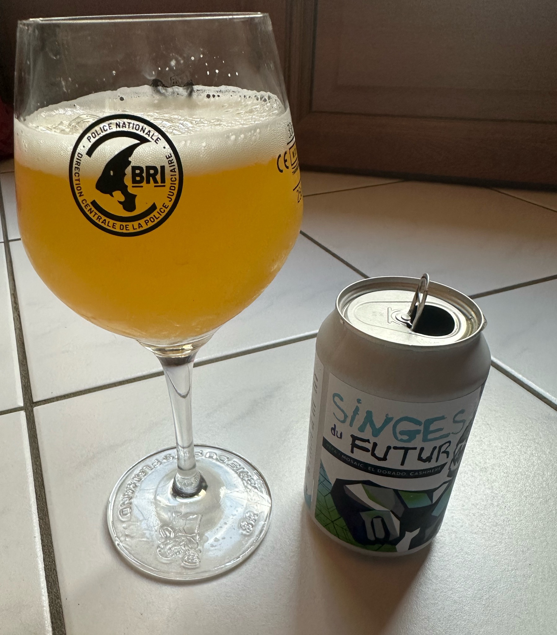 Singes Du Futur, France