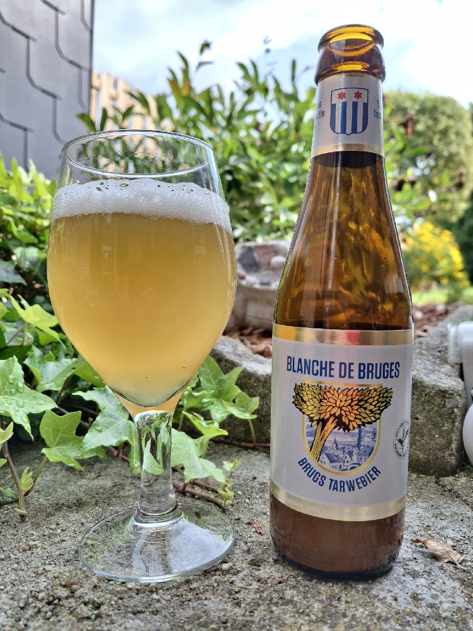 Brugs Tarwebier / Blanche de Bruges, Belgium