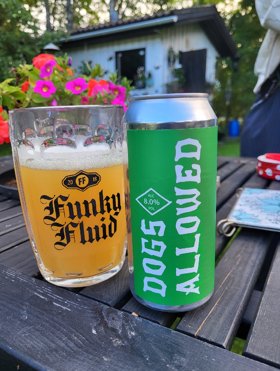 Dogs Allowed - Billie Tribute, Denmark