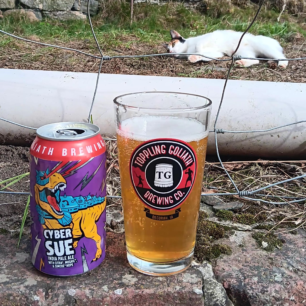 Cyber Sue, Toppling Goliath Brewing Co.