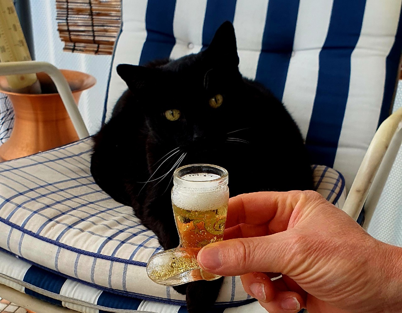 Oettinger Radler Alkoholfrei, Germany