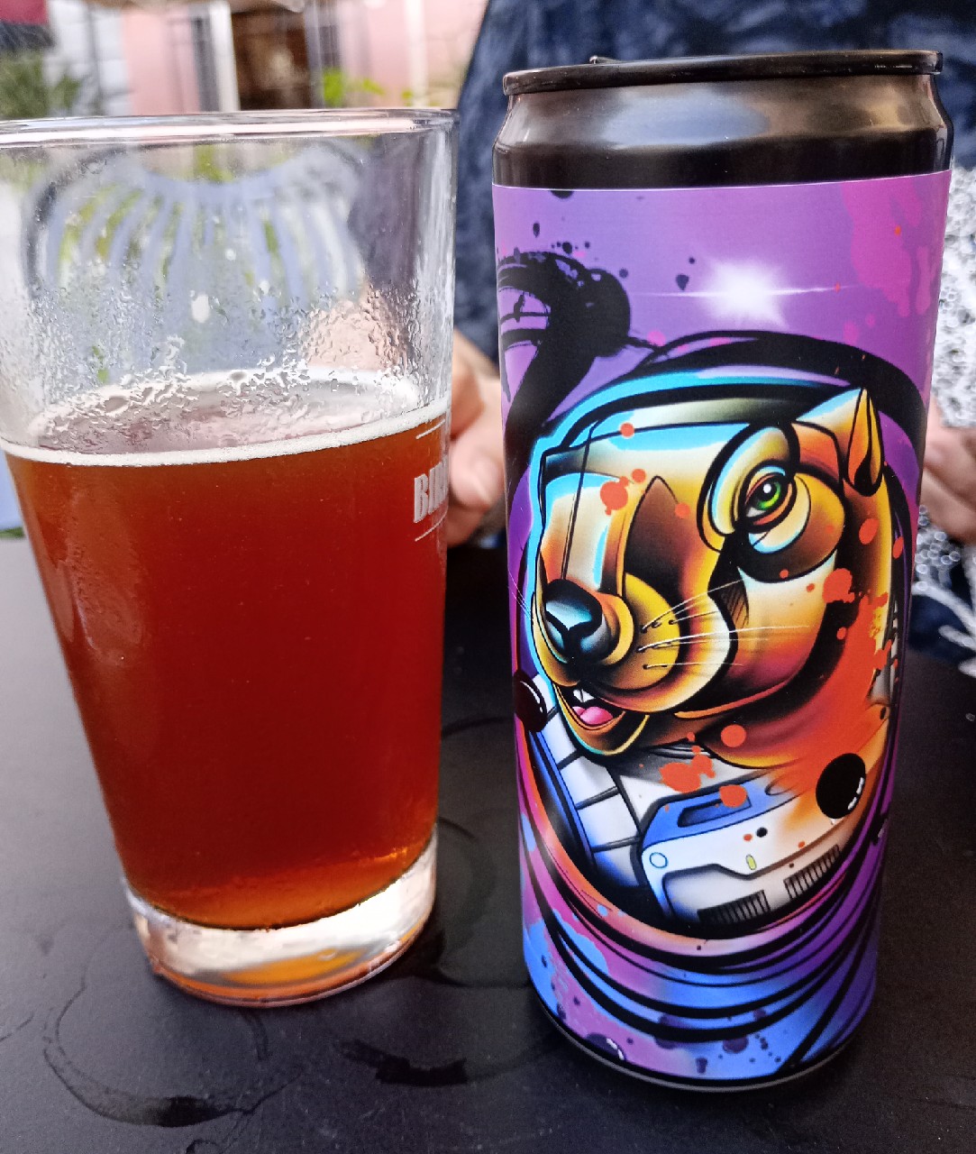 The Age of Marmotta, AntiKorpo Brewing