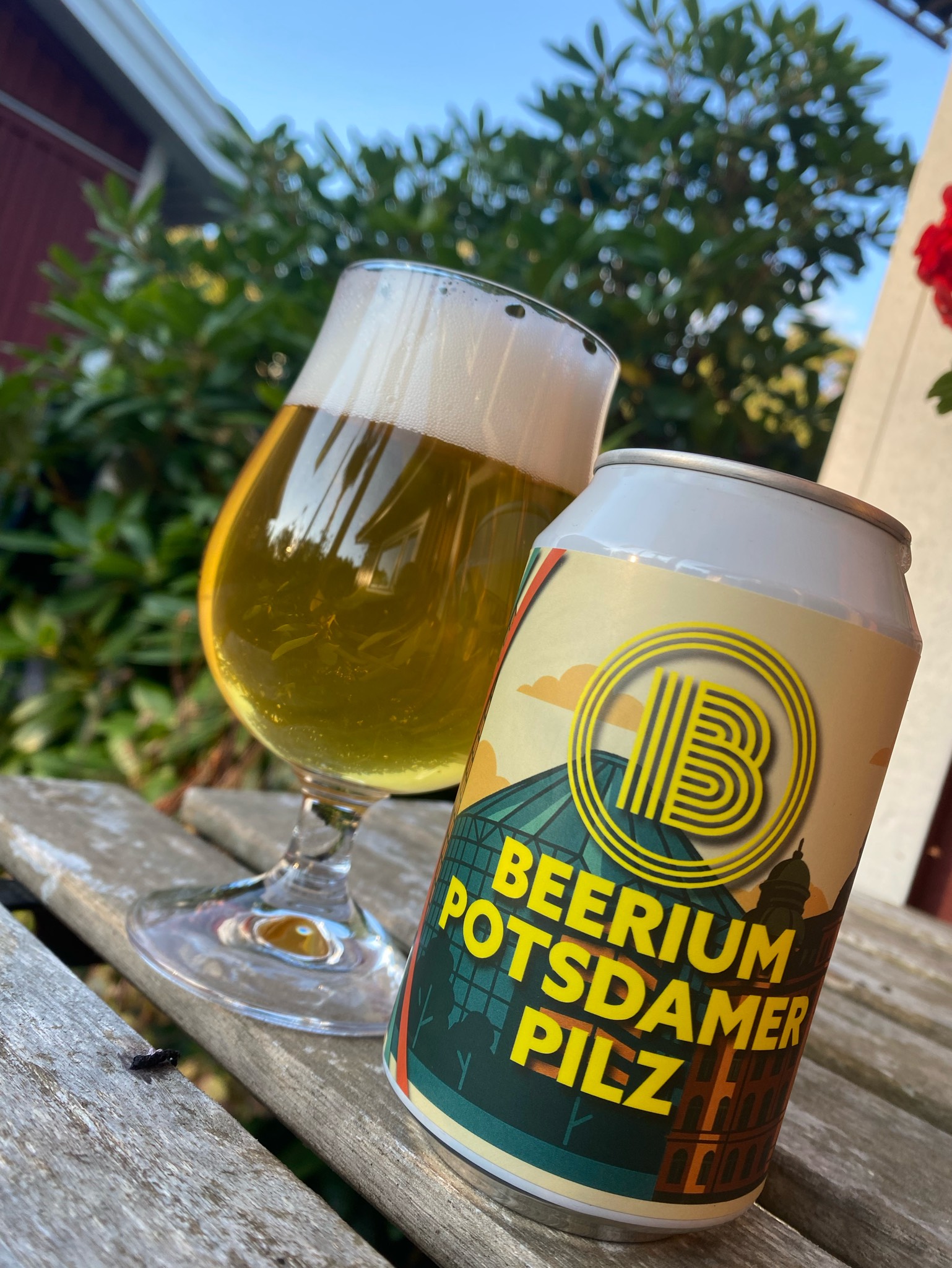 Potsdamer Pilz, Sweden