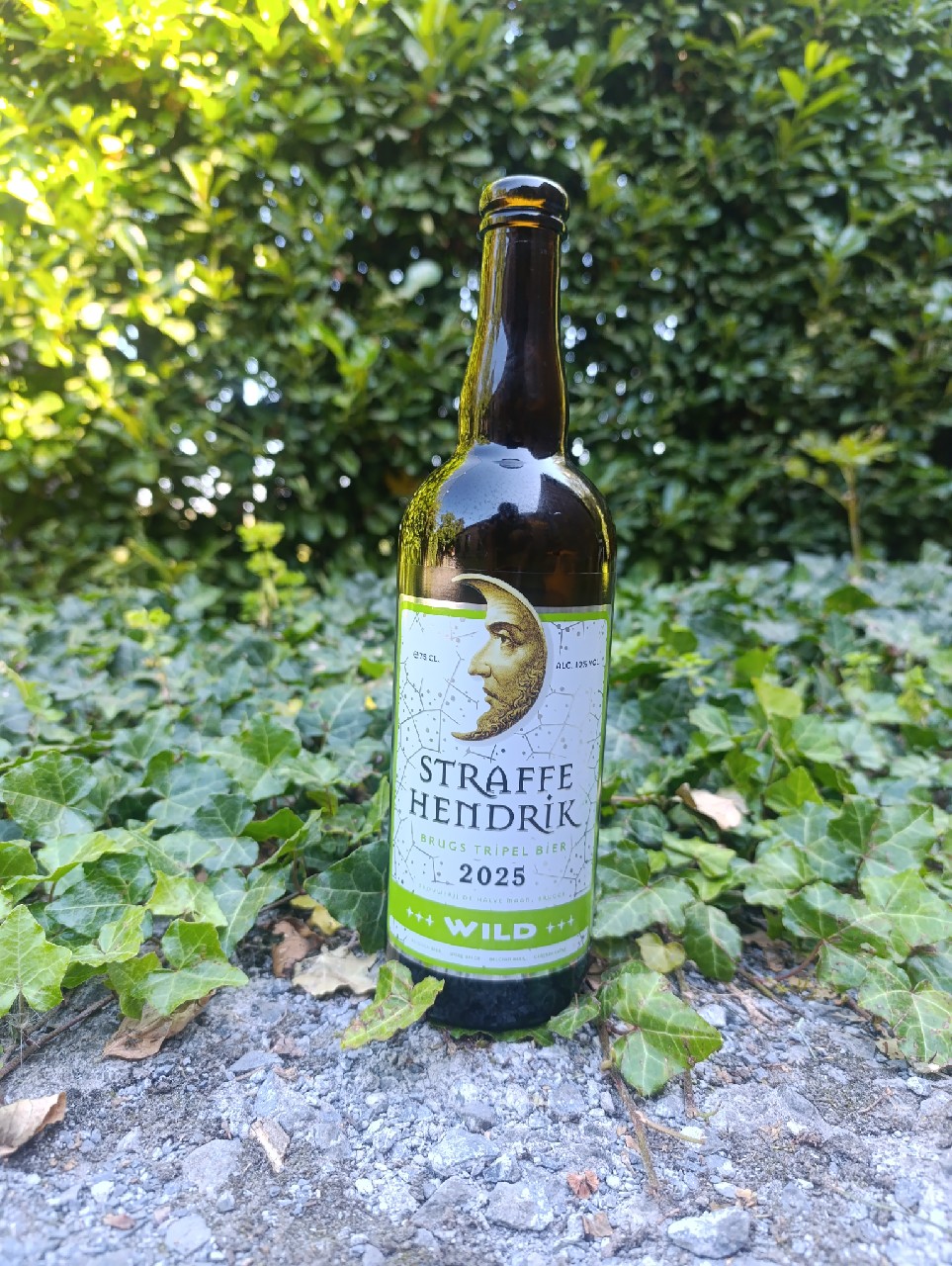 straffe hendrik brugd tripel bier wild (2025), Belgium