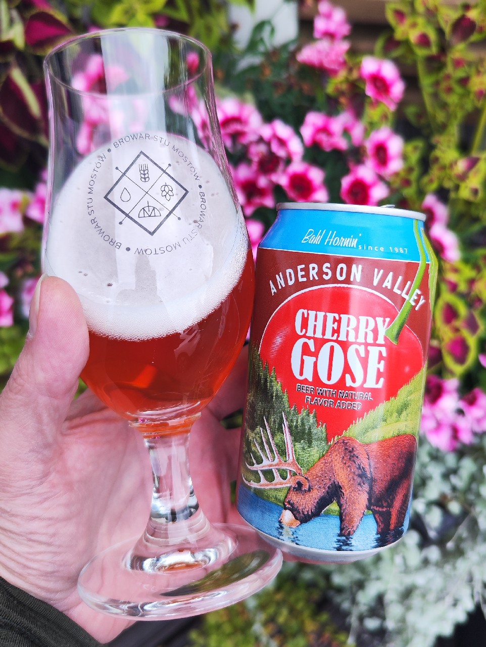 Cherry Gose, Anderson Valley