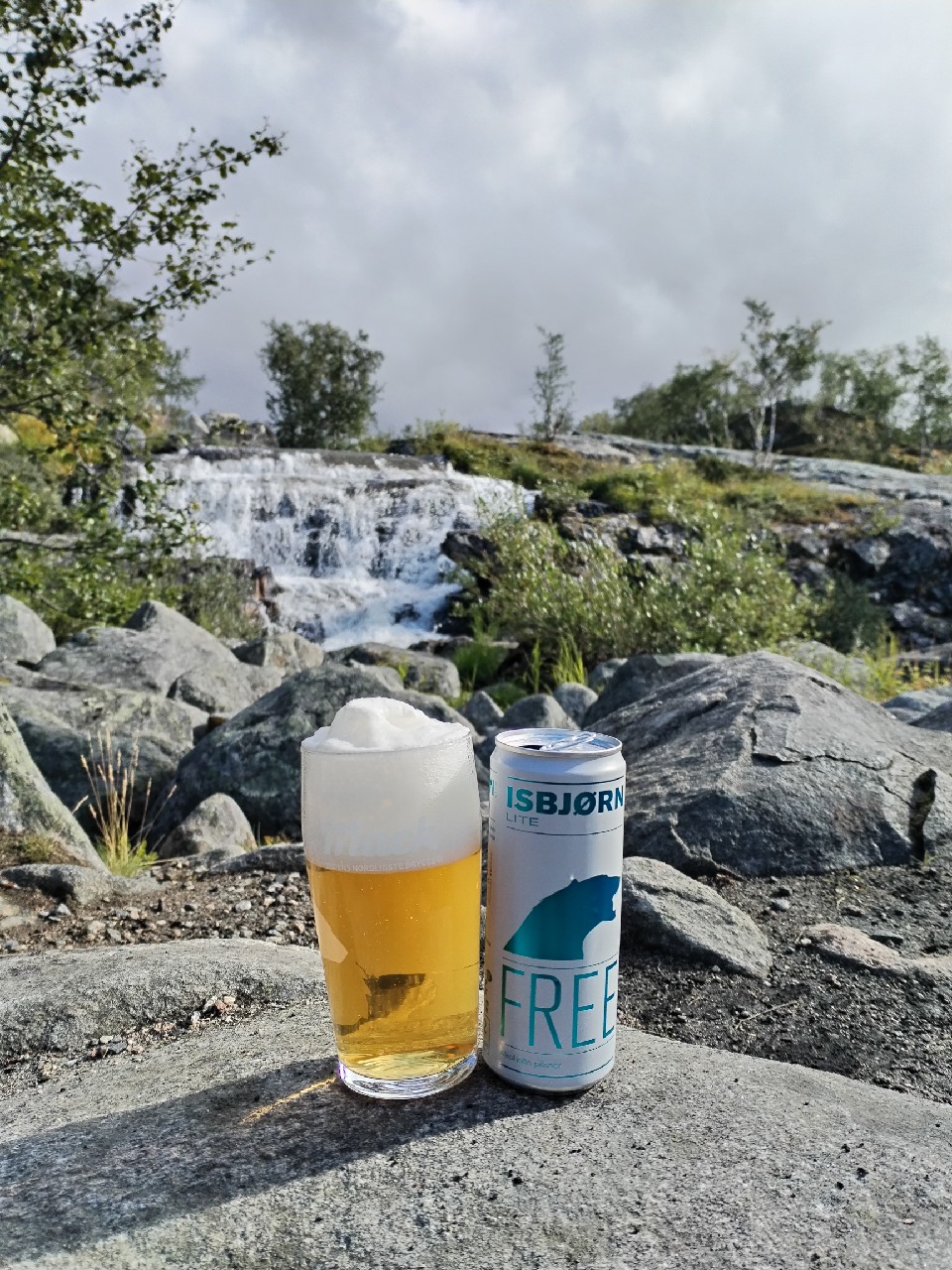 isbjørn lite free, Norway