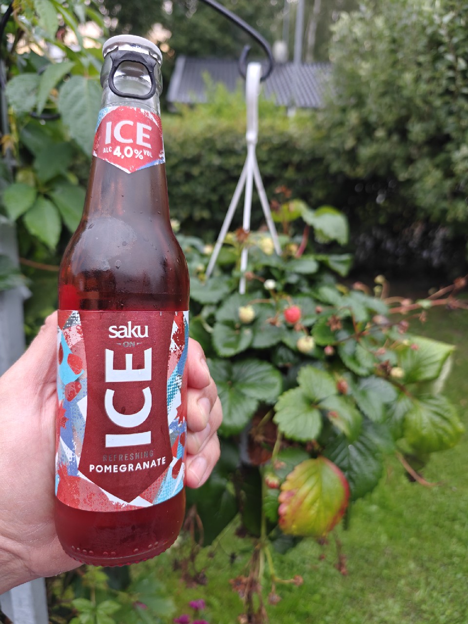 Saku On Ice Pomegranate, Estonia
