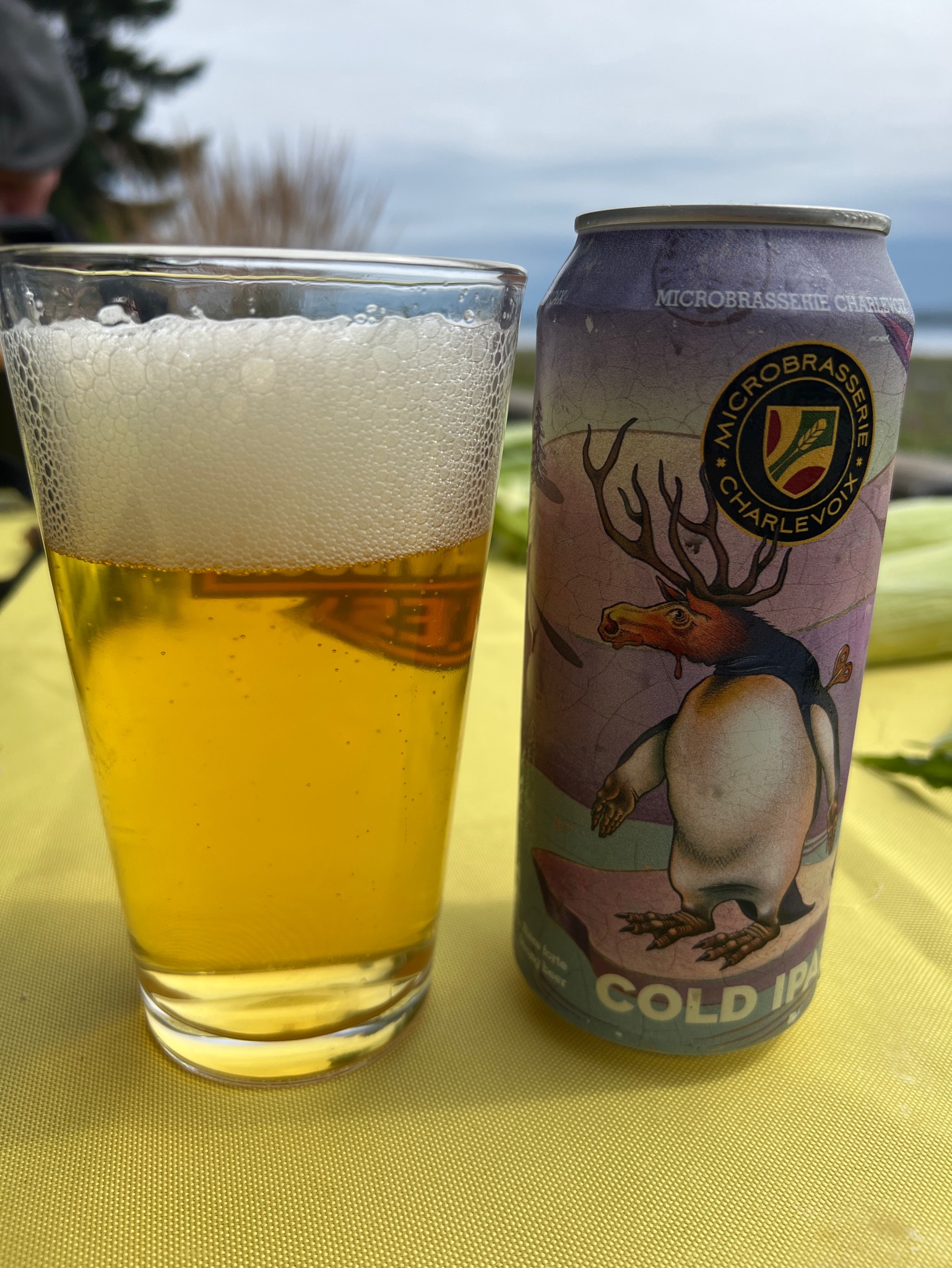 Cold IPA, Microbrasserie Charlevoix / Le Saint Pub
