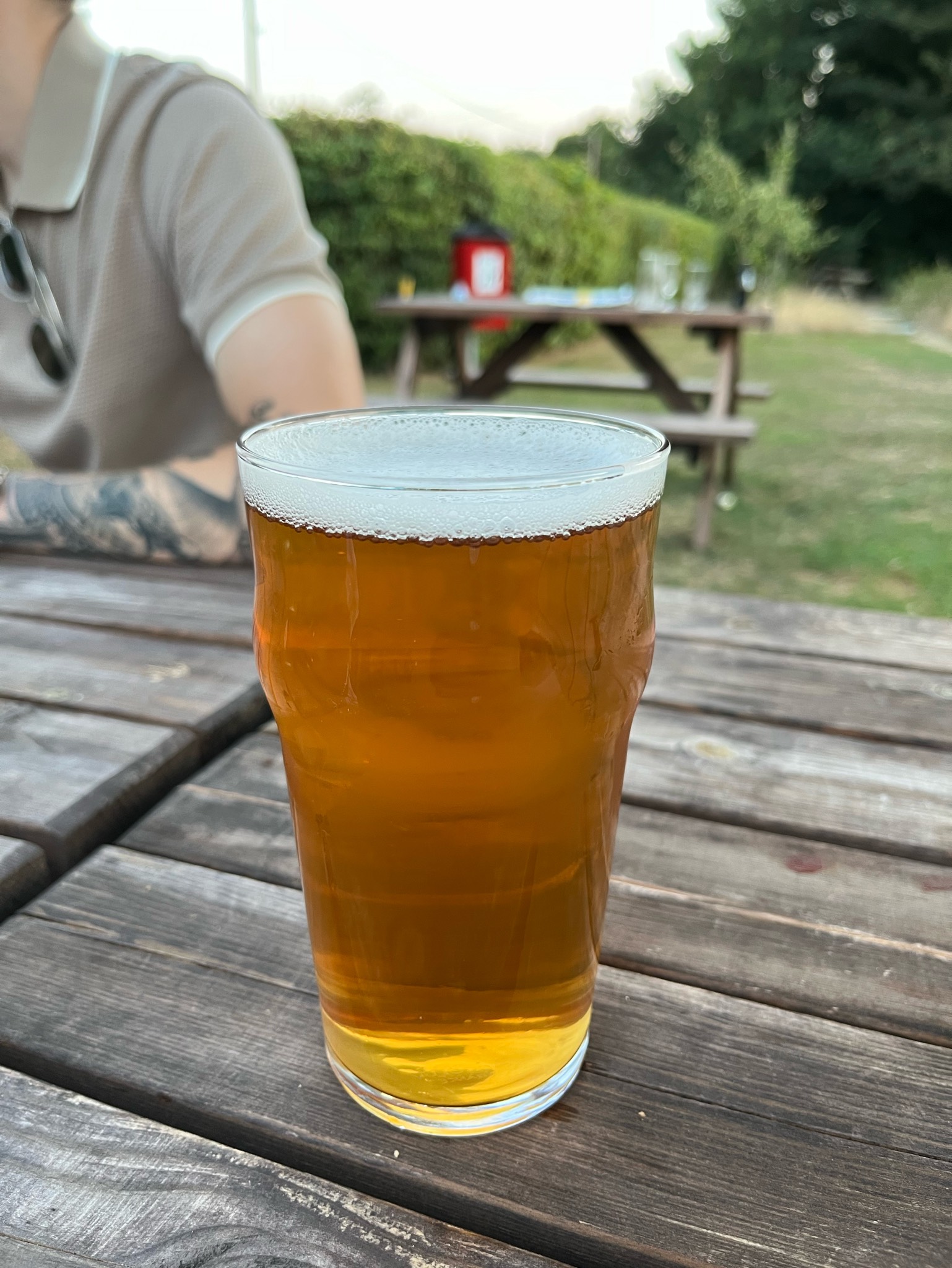 Kings, The Mighty Oak Brewing Company