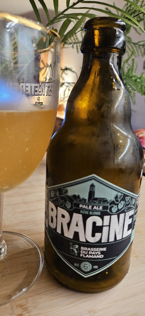 Bracine Pale Ale, France