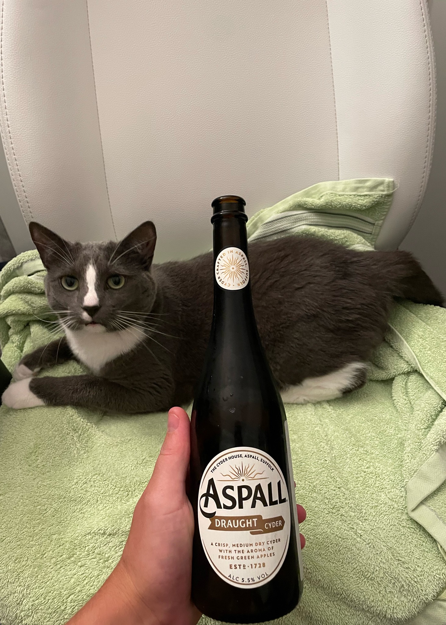 Aspall Suffolk Cyder, England