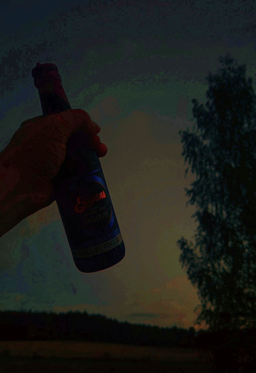 Imperial Stout Vatgerijpt 004/2025 Lowland Whisky, Eggens Craft Beer