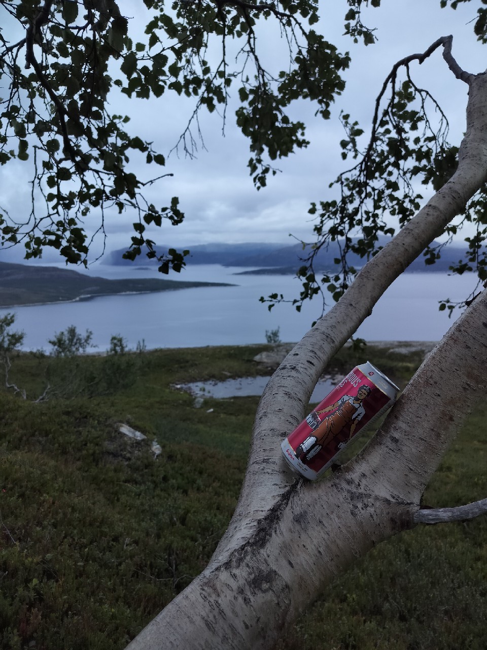 Schous Pils, Norway