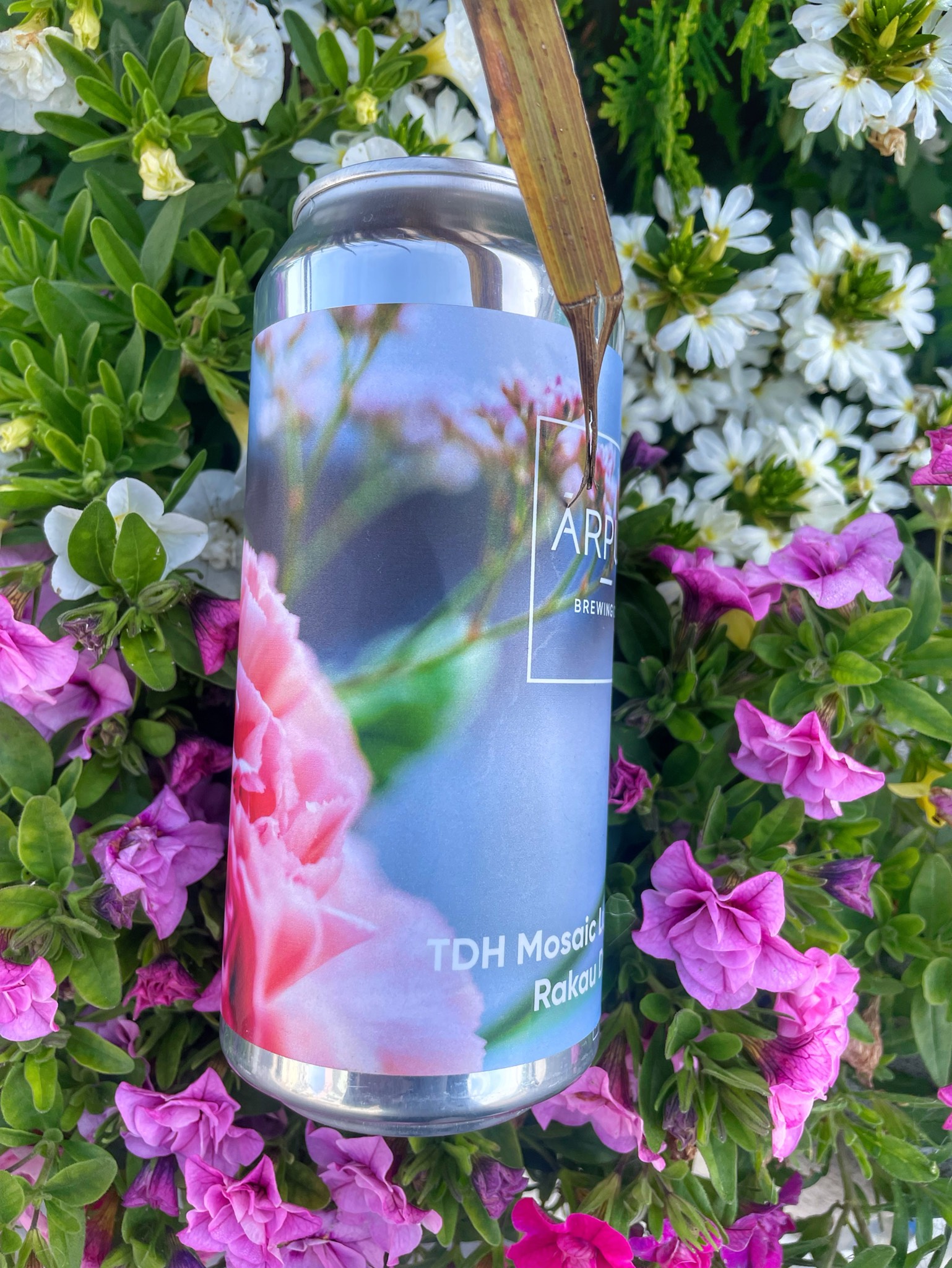 TDH Mosaic Lupomax x Rakau DIPA, Latvia