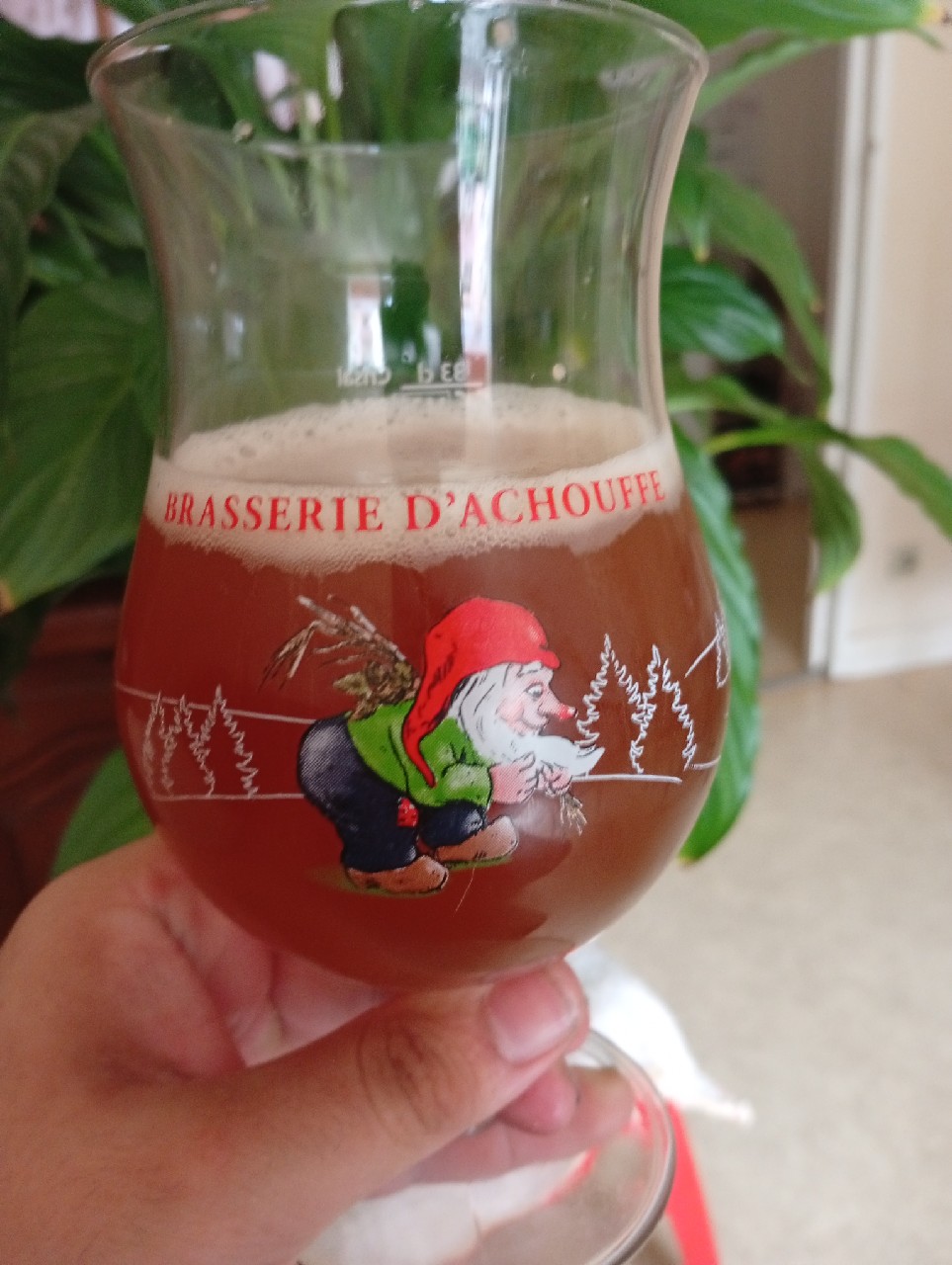 Brigantine Ambrée, France